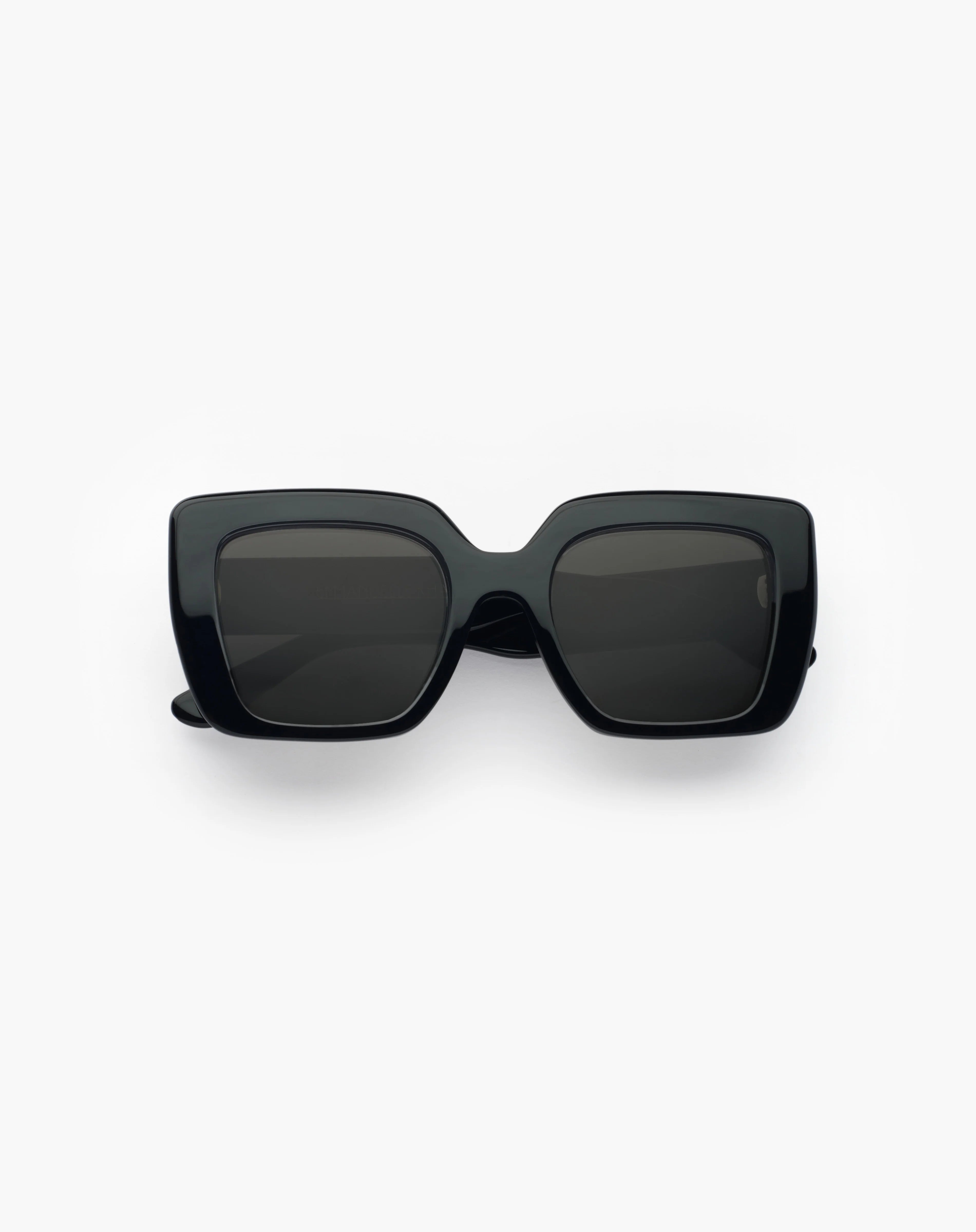 Emmanuelle Khanh Foxy 16 acetate black sunglasses - side view