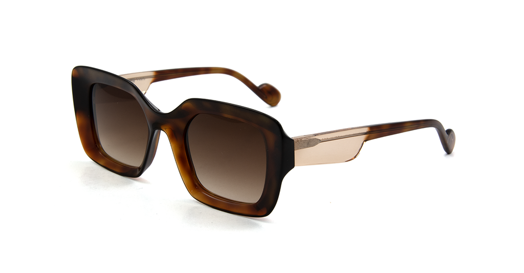 Caroline Abram Lesly acetate tortoise sunglasses - front view