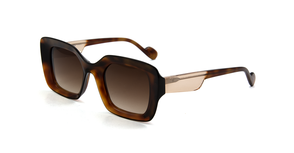 Caroline Abram Lesly acetate tortoise sunglasses - front view